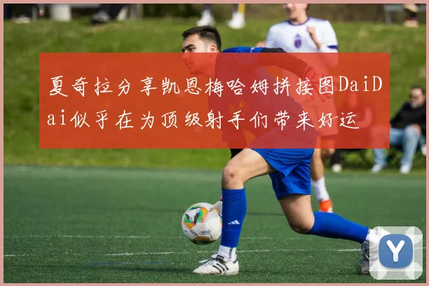 夏奇拉分享凯恩梅哈姆拼接图DaiDai似乎在为顶级射手们带来好运