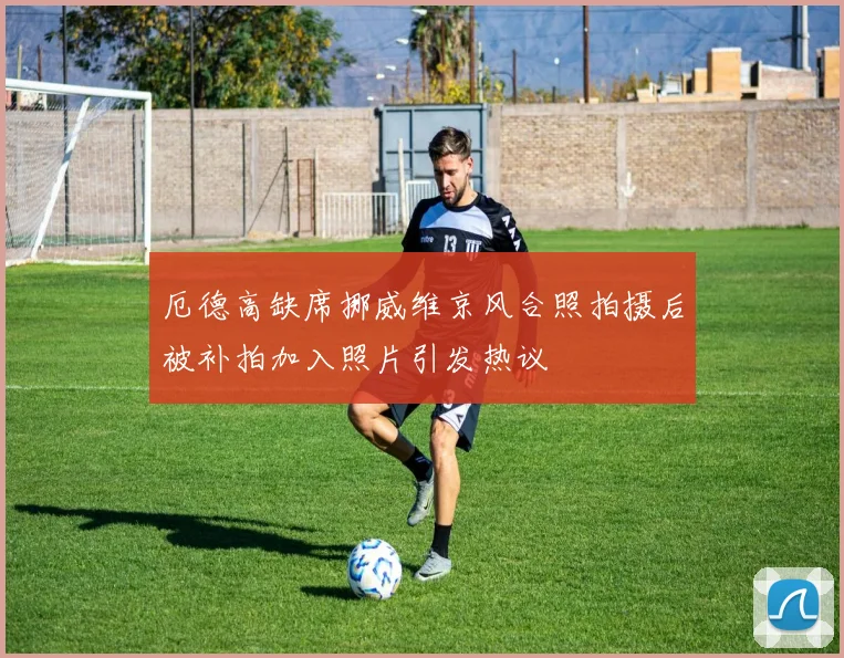 厄德高缺席挪威维京风合照拍摄后被补拍加入照片引发热议